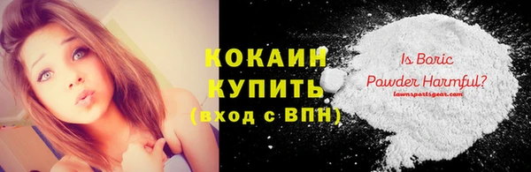винт Абаза