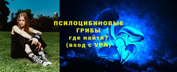 винт Абаза