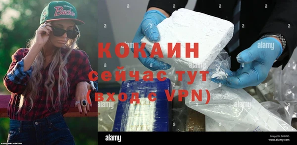 винт Абаза