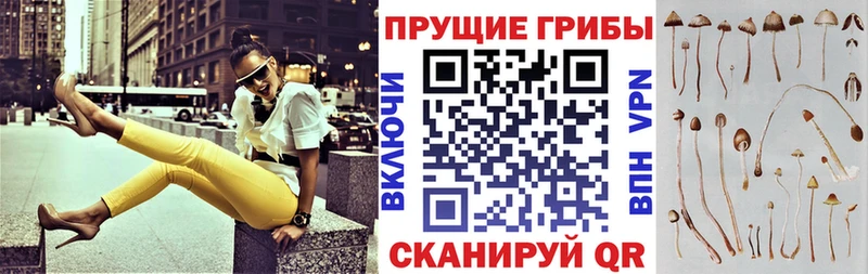 Галлюциногенные грибы мицелий  darknet состав  Владикавказ  где продают наркотики  ссылка на мегу ONION 